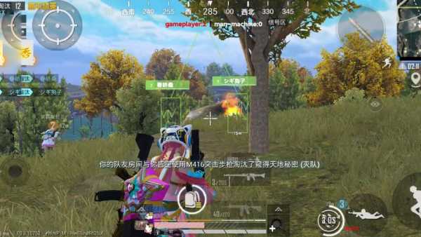 和平精英辅助【保时捷】